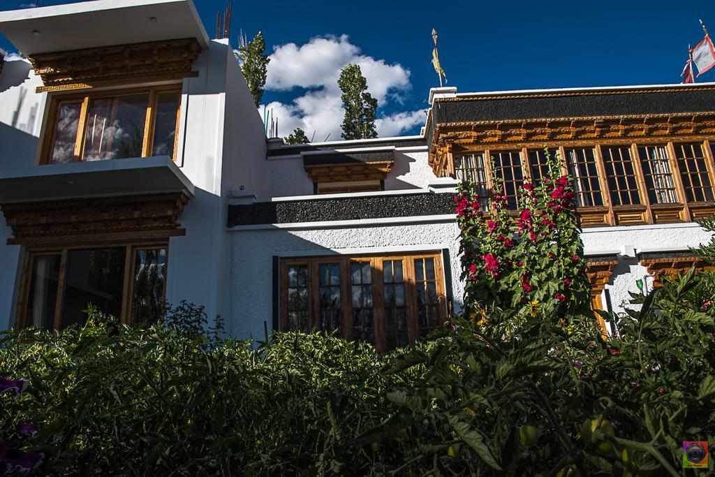 Hotel Shaolin Ladakh Léh Exteriér fotografie